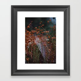 California Autumn Framed Art Print