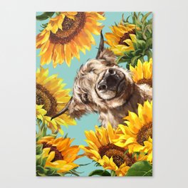 Highland Cow with Sunflowers in Blue Canvas Print