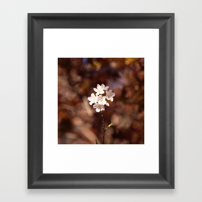 Blossom (Square) Framed Art Print