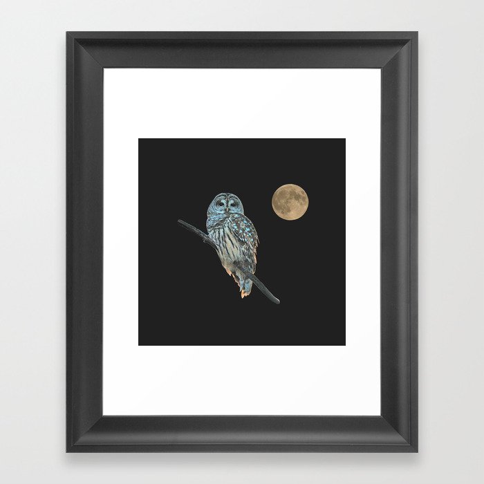 Owl, See the Moon: Barred Owl Framed Art Print