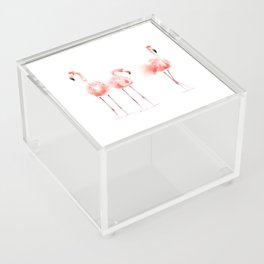 3 Flamingos Acrylic Box