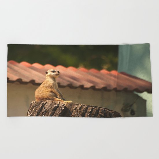 Funny Observer Beach Towel