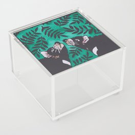 Tasmanian Devils Acrylic Box