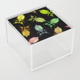 Leaf Insect Pattern Acrylic Box