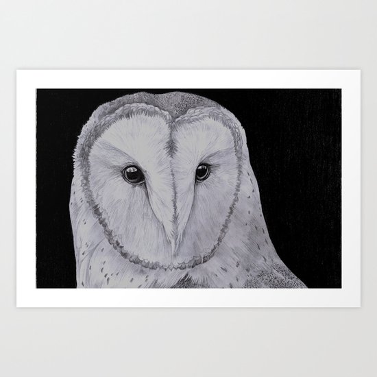 Barn Owl Pencil Art Print