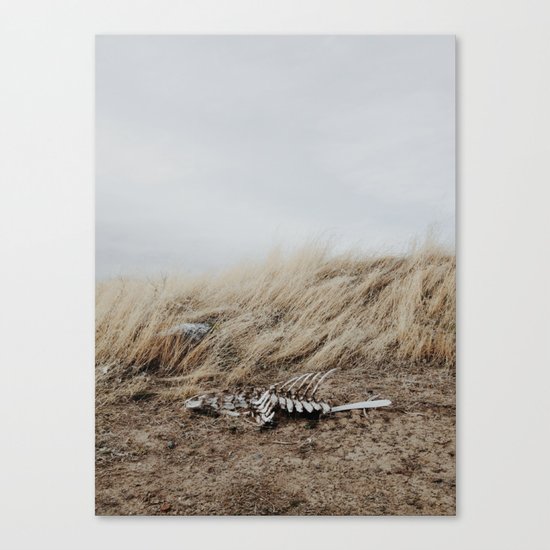 Winded Skeleton Canvas Print