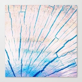pink blue timber heartwood Canvas Print