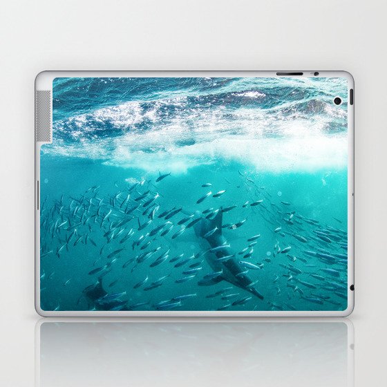 Dolphin hunting sardines Laptop & iPad Skin