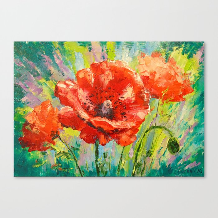 Blooming poppy Canvas Print