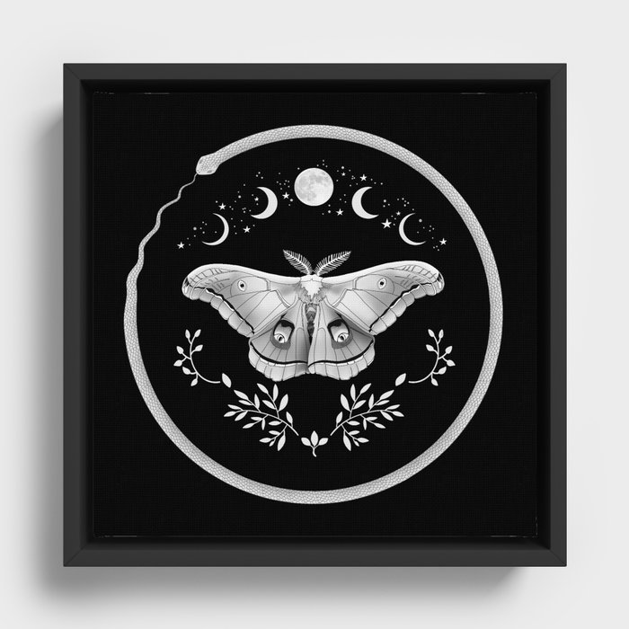 Mystical Moth Framed Canvas