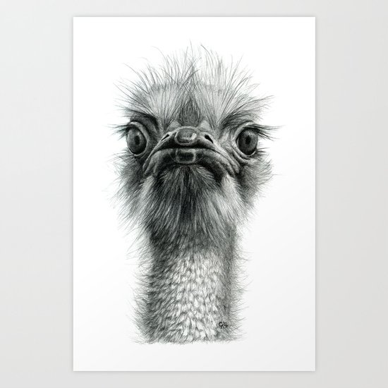 Arrogant Ostrich SK100 Art Print
