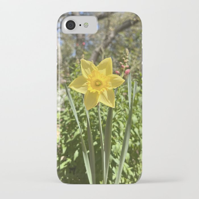 Yellow Daffodil iPhone Case