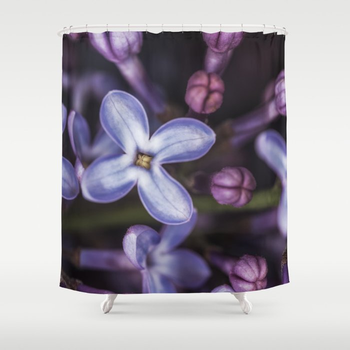 Lilacs close up Shower Curtain