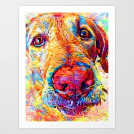Labrador 10 Art Print