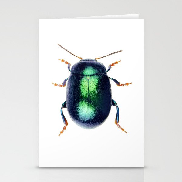 Chrysolina Herbacea Stationery Cards