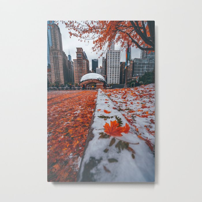 Fall and Winter Chicago Metal Print