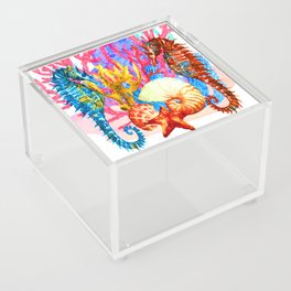 Seahorse Acrylic Box