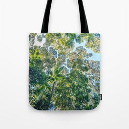 Valley of the Giants Forest, Fraser Island Australia Tote Bag