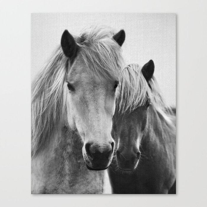 Horses - Black & White 7 Canvas Print