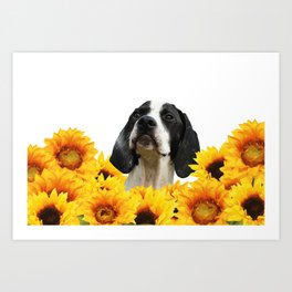 Pointer Dog Sunflower Field Art Print