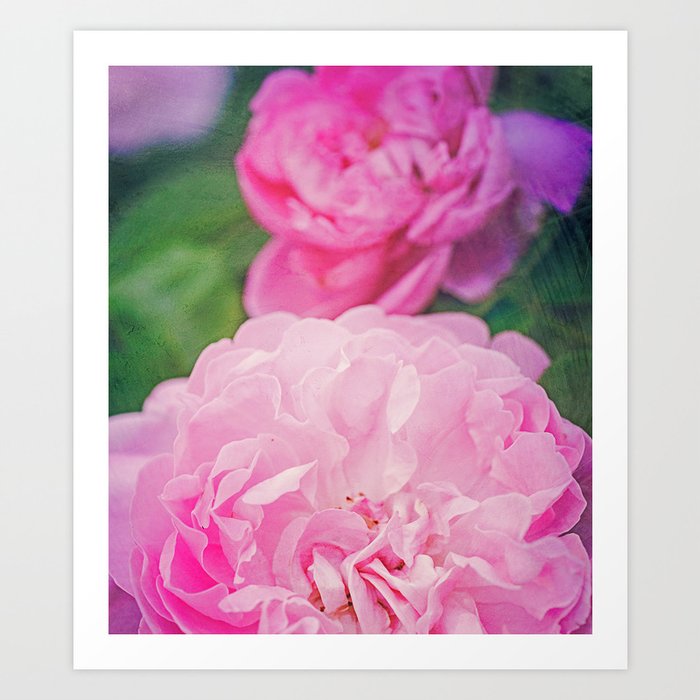 The World Smelled of Roses Art Print by Olivia Joy St Claire X Modern ...