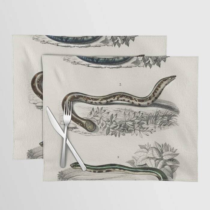 Spotted Worm Lizard, Blind Snakes, & Shield Tail Snakes Placemat