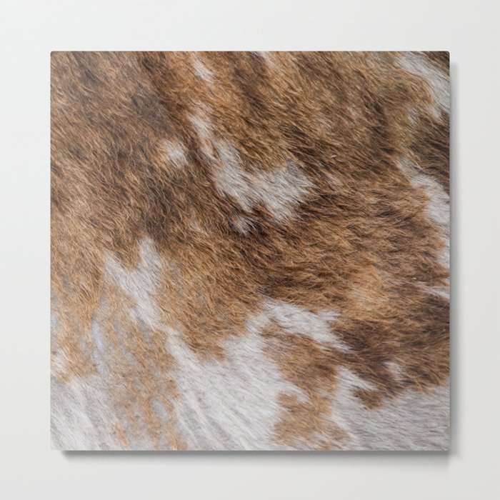 Brown and White Cow Skin Print Pattern Modern, Cowhide Faux Leather Metal Print