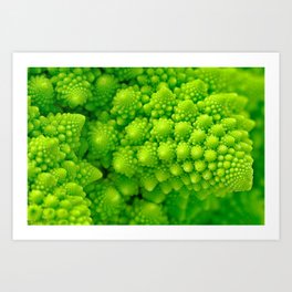 Broccoli Art Prints For Any Decor Style Society6 This super seasonal brassica is as versatile as it is delicious and nourishing. society6