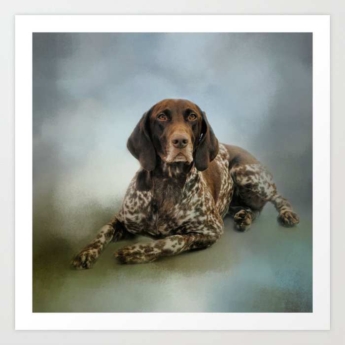 Waiting For A Cue - German Shorthaired Pointer Art Print
