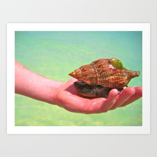 Friends Under The Sea Art Print