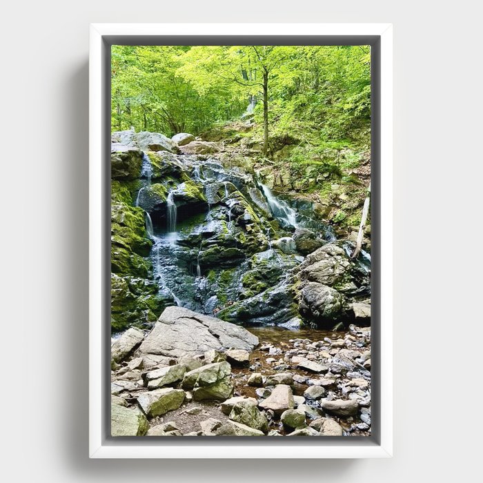 Waterfall in the Valley Framed Canvas