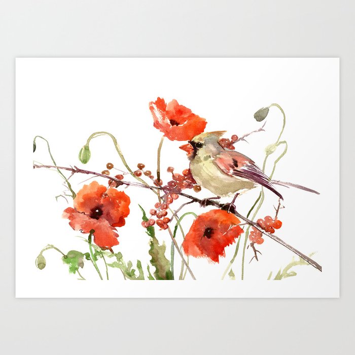 Cardinal Bird and Poppies, Poppy Flowers Art Print