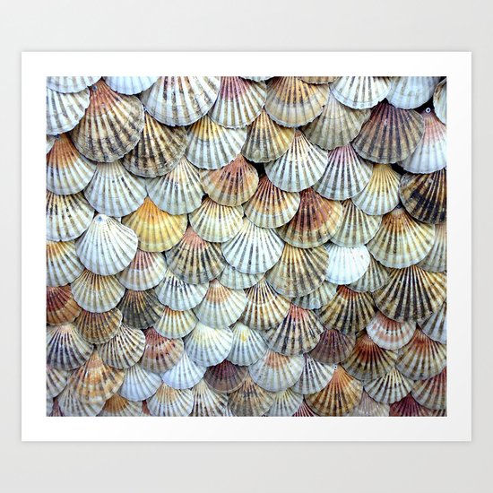 Cockleshell Collection Art Print