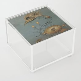 CloudSeeker Acrylic Box