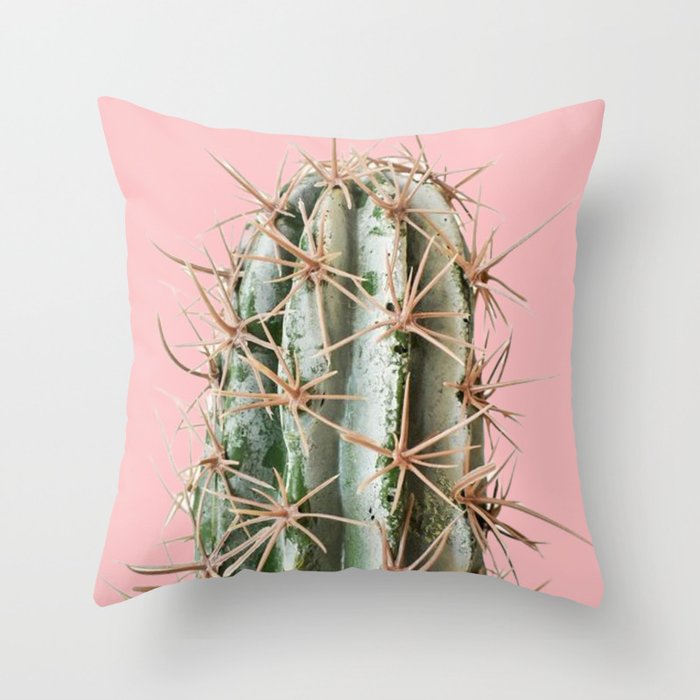 Boho Mint Green and Pink Succulent Cactus Throw Pillow