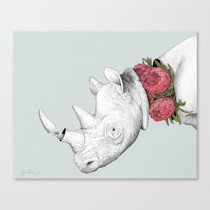 White Rhino with Proteas Canvas Print