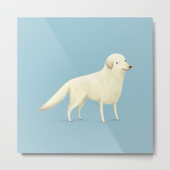 Golden Retriever Portrait Metal Print