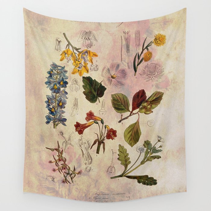 Botany tapestry top