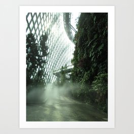 Cloud Forest V Art Print