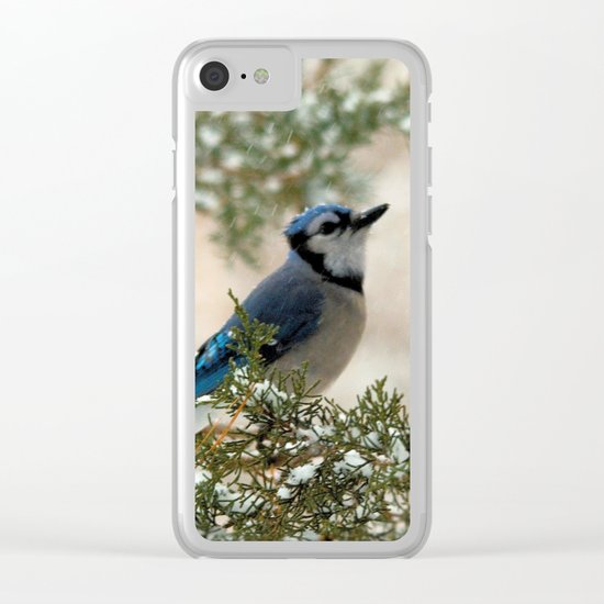 Look to the Sky (Blue Jay) Clear iPhone Case