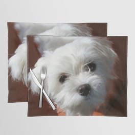 Cute Maltese asking for a treat Placemat