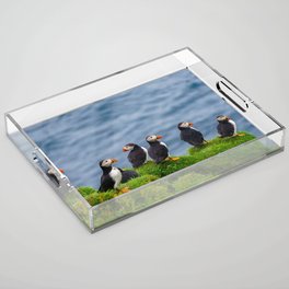 The Puffins of Mykines in the Faroe Islands X Acrylic Tray