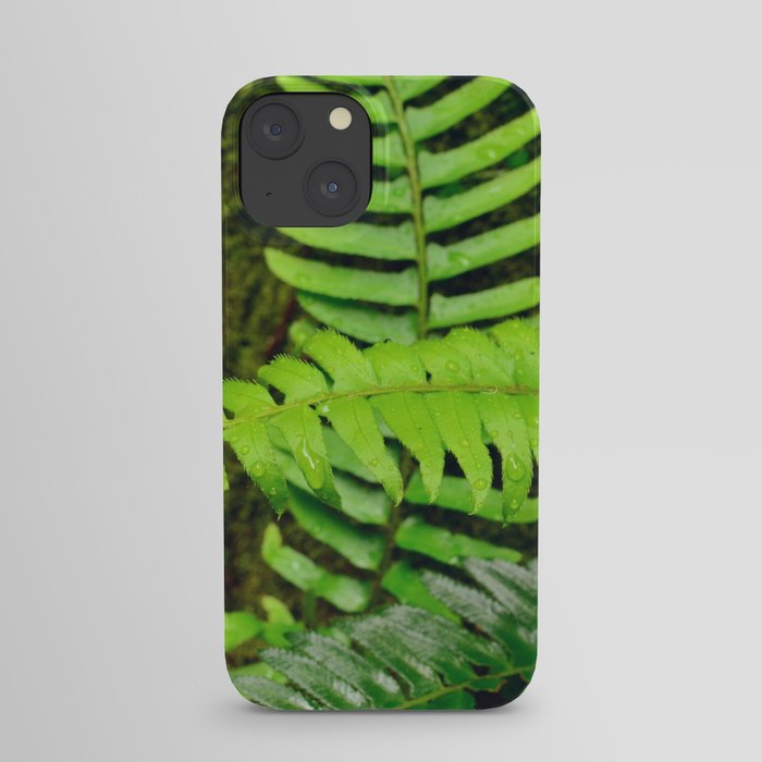 Tropical rain falling on fern leaves iPhone Case