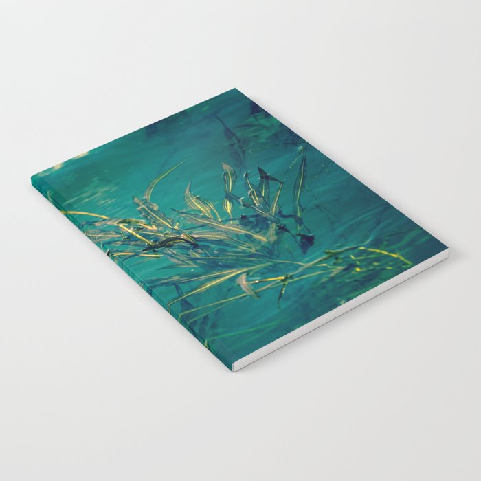 Blue Pond Branches Notebook