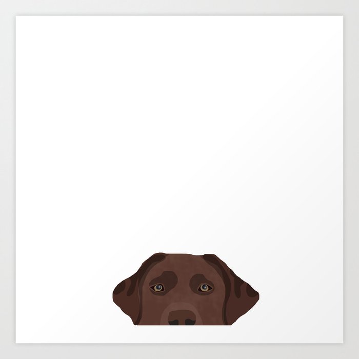 Peeking chocolate labrador dog breed cute dog face labrador retrievers Art Print