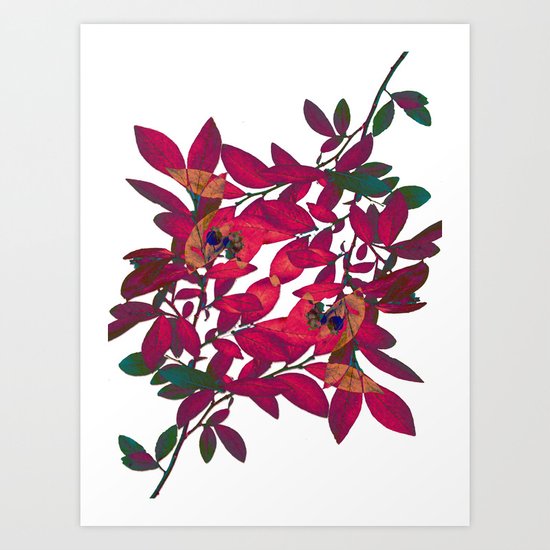 Blueberry branch - Pink Art Print