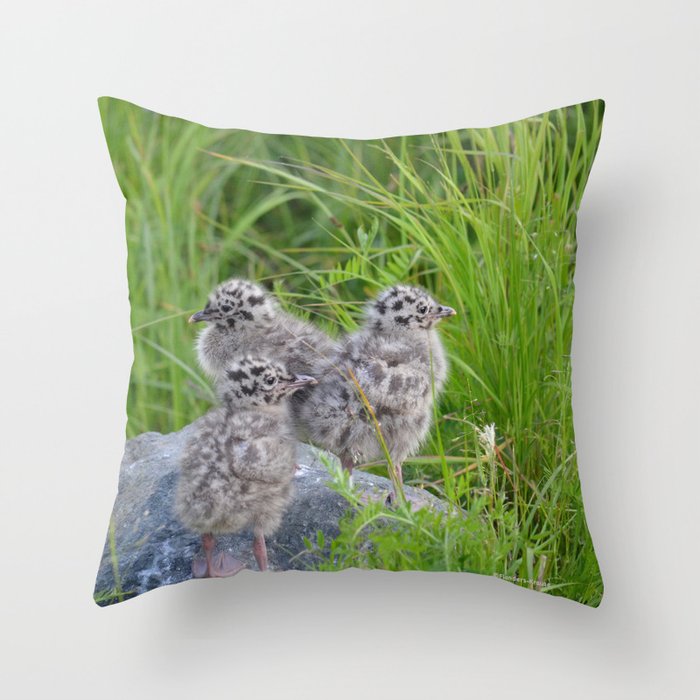 Triplets - Baby Seagulls Throw Pillow