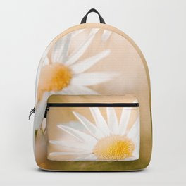 White Daisies In Sunlight Photo | Nature Photography | Oxeye Daisy Backpack