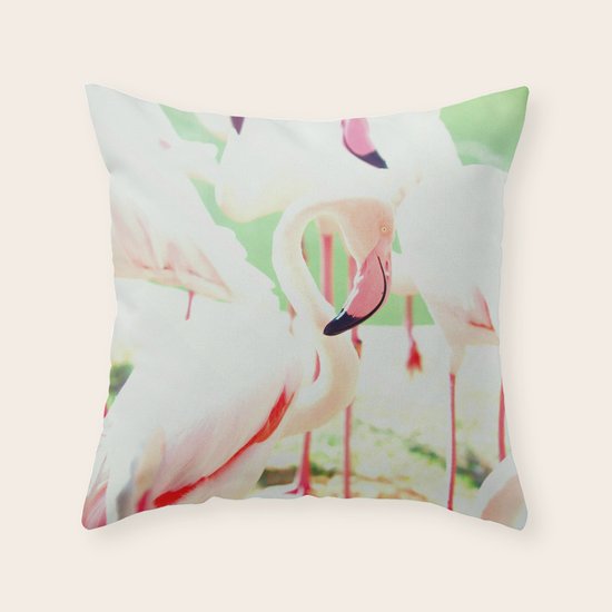 Flamingos Throw Pillow