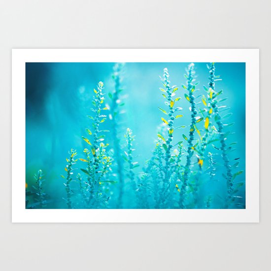 Touches of Gold Art Print